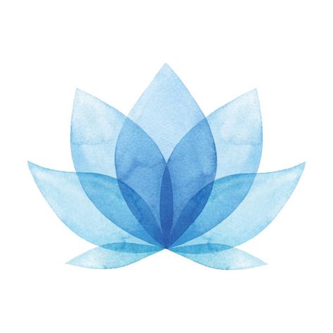 34,835 Egyptian Lotus Photos and Premium High Res Pictures - Getty Images Lotus Vector, Lotus Logo, Blue Lotus Flower, Mandala Background, Flower Stock, Image Film, Business Card Design Creative, Bloom Blossom, Blue Lotus