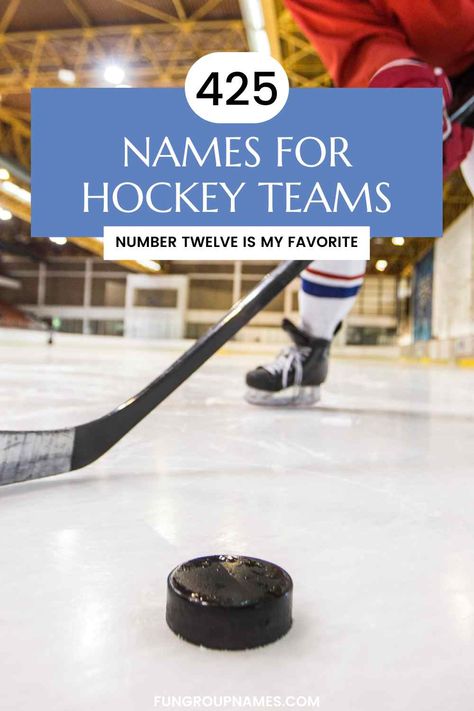 425 Great Names For Hockey Teams! Crossfit Team Names, Hockey Team Names, Dog Hero, Hockey Kids, Youth Hockey, Ice Hockey Teams, Great Names, Hockey Team, Team Blue