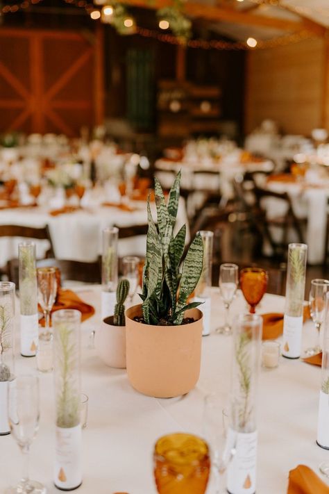 Modern Party Table Decor, Eco Table Decoration, Snake Plant Centerpiece Wedding, House Plants For Wedding Decor, Sage And Terra Cotta Wedding Centerpieces, Plant Wedding Table Decor, Succulent Centerpieces Party, Cactus Centerpiece Wedding, Snake Plant Centerpiece