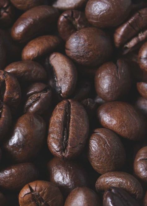 Coffee Beans Photography, Illy Coffee, Robusta Coffee, Drinking Black Coffee, Coffee History, Cheap Coffee, Coffee Facts, Coffee World, Coffee Grinders