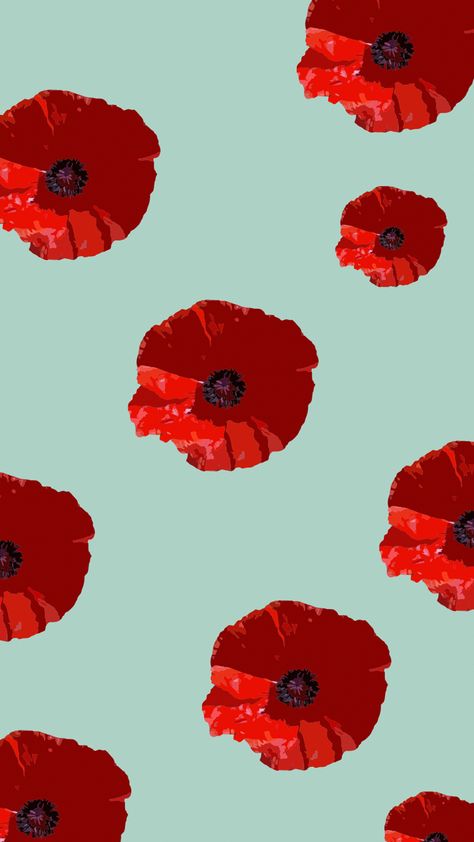 Poppies Wallpaper Iphone, Poppy Flowers Wallpaper, Poppy Flower Aesthetic Wallpaper, Poppy Wallpaper Aesthetic, Poppy Wallpaper Iphone, Poppy Flower Aesthetic, September Wallpaper Aesthetic, Poppy Flower Wallpaper, Poppies Background