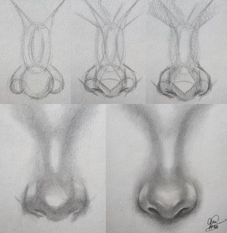 Drawing A Nose, Drawing Tutorial Face, Drawing Eyes, Nose Drawing, Drawing Faces, Contour Drawing, Pencil Art Drawings, Step Drawing, The Nose