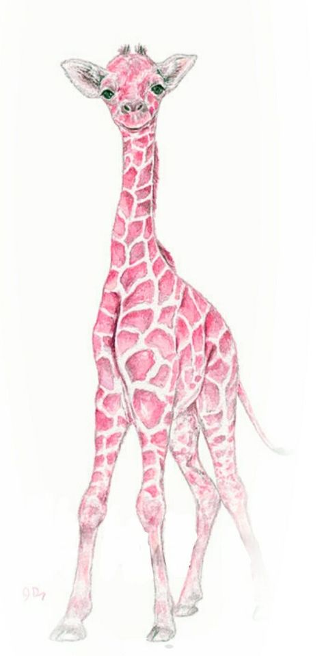 Collage Backgrounds, Giraffe Drawing, Giraffe Pictures, Giraffe Painting, Pink Giraffe, Pink Inspiration, Giraffe Art, A Giraffe, Pink Animals