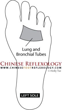 Pressure Point To Stop Coughing, Pressure Point For Coughing, Reflexology For Cough, Accupressure Point For Cough, Lingering Cough, Chinese Reflexology, Reflexology Points, Reflexology Foot Chart, How To Stop Coughing