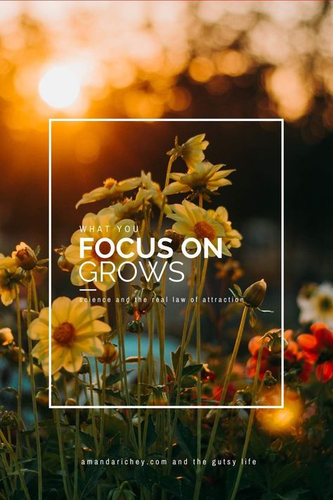 What if I told you the old adage "what you focus on grows" was 100% true? How would you change your thoughts and actions if you truly understood this concept? Your brain has learned how to transform all the incoming data it receives through a filter; the Reticular Activating System (RAS). The RAS serves as a filter for your beliefs and what you deem important which has been largely determined by your past experiences and beliefs. #lawofattraction #personalgrowth #quote #inspirationalquote Reticular Activating System, Getting To Know Yourself, Getting Unstuck, Yoga Series, Stuck In Life, Goal Achievement, Change Your Thoughts, Coaching Clients, Changing Your Life