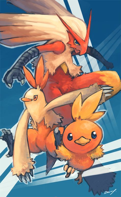 TorchicxCombuskenxBlaziken Blaziken Art, Blaziken Fanart, Pokemon Blaziken Art, Pokemon Unown Art, Pokemon Incineroar Fanart, Braixen Pokemon Art, Charmander Evolution, Fire Pokemon, Pokemon Starters