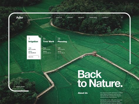 Home Page Inspiration, Nature Layout Design, Nature Website Design Inspiration, Sustainable Web Design, Website Typography Design, Green Website Design Inspiration, Nature Web Design, Rustic Website Design, Sustainability Presentation