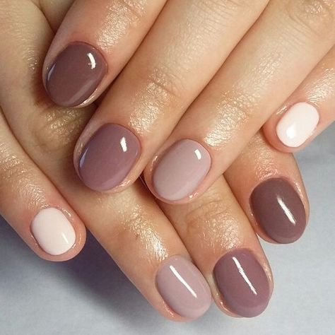 Shellac Manicure, Nagellack Trends, November Nails, Nails Winter, Shellac Nails, Neutral Nails, Dipped Nails, Minimalist Nails, Nails Short