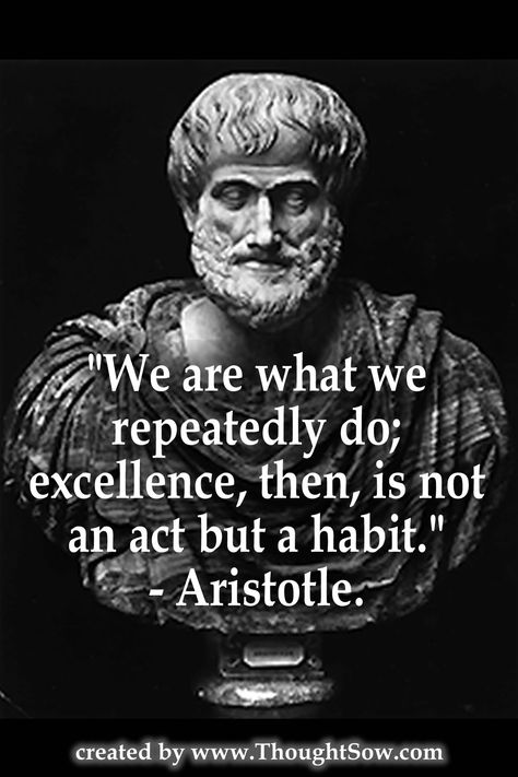 The question, then, is what are we becoming excellent at doing?  Thinking or playing with technology?  Or, the best of both? Aristotle Quotes, Philosophical Quotes, Warrior Quotes, Socrates, Philosophy Quotes, Philosophers, Quotable Quotes, A Quote, Wise Quotes