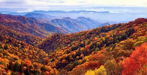 The Pocono Mountains-Pennsylvania, USA Smoky Mountains North Carolina, Waterfall Hikes, Mountain Vacations, Fall Hiking, Great Smoky Mountains National Park, Smoky Mountain National Park, Olympic National Park, Blue Ridge Mountains, Nature Backgrounds