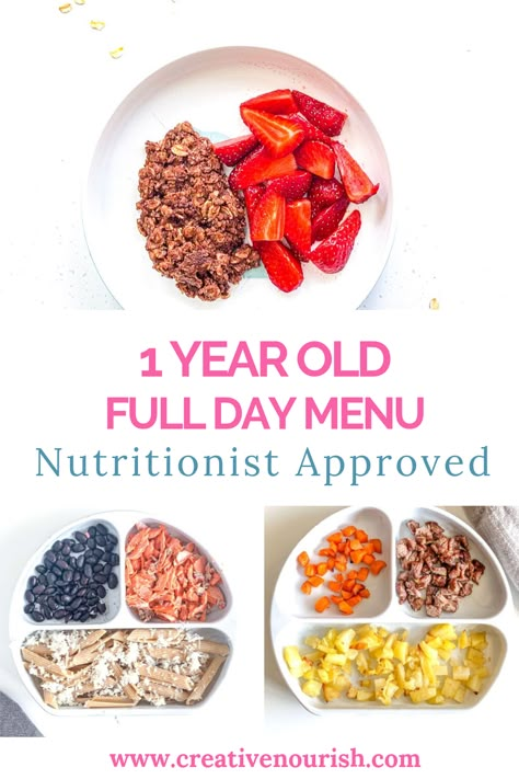 1 year old baby meal plan:) Nutritionist approved with healthy and delicious baby food. #1yearoldbaby #babymealplan #babyfood Dairy Free One Year Old Meals, One Year Old Foods, Meal Plan For Toddlers, Baby Meal Plan, Blw Recipes, Easy Toddler Meals, Led Weaning Recipes, Toddler Food Ideas, Toddler Meal Ideas