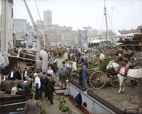 https://flic.kr/p/FVWi3u | Banana docks, New York, ca. 1890-1910 | The Old Slip piers along the East River, just below the end of Wall Street, used to be known as the Banana Docks for its frequent fruit shipments from around the world, including ships containing hundreds of bushels of bananas. Colorized Historical Photos, Search History, Colorized Photos, East River, Uss Enterprise, Nova York, Bw Photo, Historical Photos, Empire State