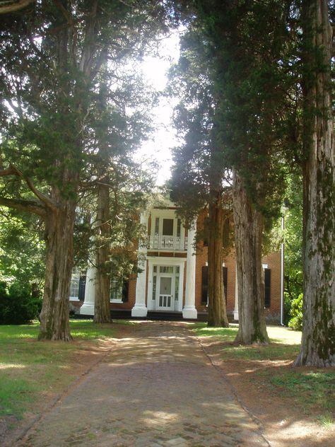 Holly Springs, Mississippi Holly Springs Mississippi, Antebellum Architecture, Antebellum South, Southern Plantations, Cedar Grove, Southern Homes, Home N Decor, Dream Homes, Weekend Getaways