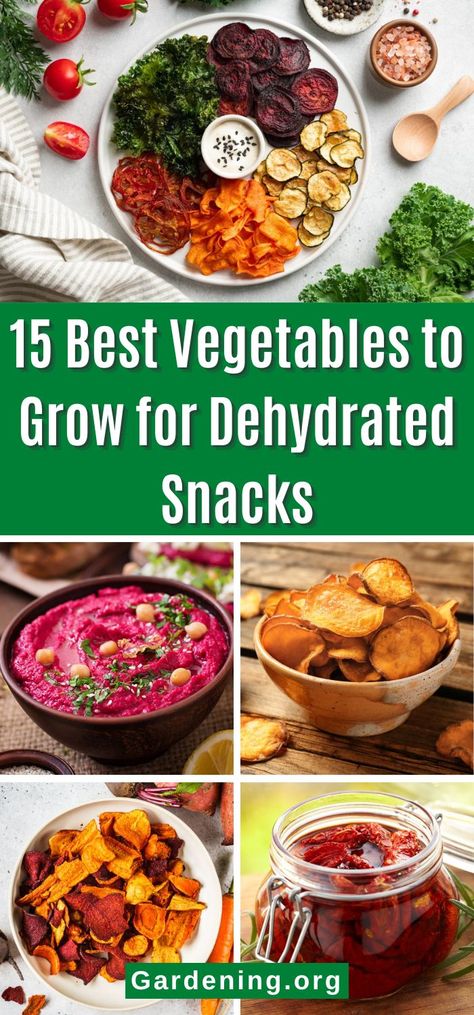 Vegetables perfect for dehydrated snacks. Dehydrating Fruits In Dehydrator, What Can I Dehydrate, Dehydrate Onions, Dehydrated Veggies, Garden Preservation, Dehydrated Snacks, Preserve Vegetables, Dehydrated Recipes, Best Vegetables To Grow