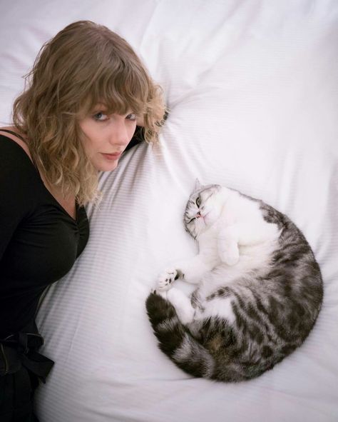 Taylor Swift & Meredith Taylor Swift Cats, Taylor Swift Cat, Famous Cats, Estilo Taylor Swift, Olivia Benson, Meredith Grey, Celebrity Photo, Cat Animal, Taylor Swift Wallpaper