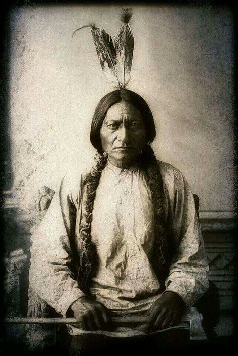 Chief Sitting Bull, Oglala Lakota, Edward Curtis, Lakota Sioux, Sitting Bull, Native American Chief, Plains Indians, Wilde Westen, Native American Photos