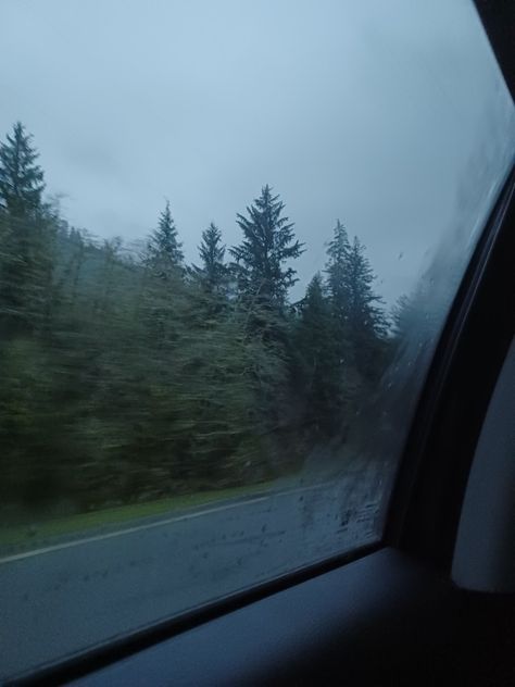 Aesthetic, pictures, picture, outside, photo, beach, waves, nature, outside, train, street, art, clay, man, pot, forks, twilight, orgeon, car, window, trees, forest Forks Twilight, Twilight Vibes, Calming Pictures, Twilight Aesthetic, Dark Forest Aesthetic, Trees Forest, Perfect Weather, Art Clay, In Car