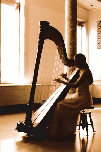 Celtic Harp, Harps Music, Learn Violin, The Harp, Music Express, Harbin, String Quartet, Music Aesthetic, Making Music