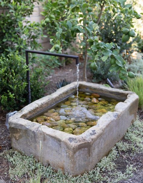 Trough Fountain, Garden Troughs, Garden Water Feature, Pond Water Features, Water Features In The Garden, Garden Fountain, Mediterranean Garden, Garden Studio, Garden Fountains