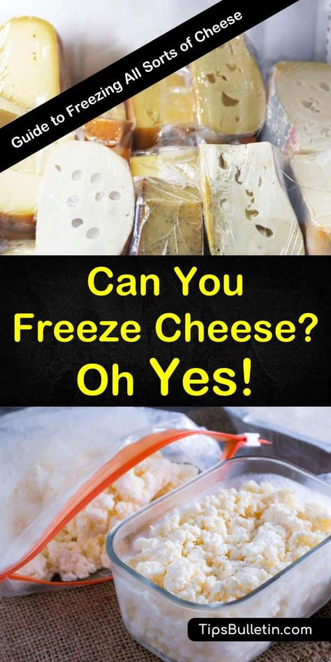 Can you freeze cheese? Learn how to freeze cheese to extend its shelf life. With tips and for freezing all kinds of cheese, including hard, semi-hard, soft cheese and cheese slices, you can keep your cheese for longer and still use it in all your favorite recipes. #freeze #cheese #howto #frozen Freeze Cheese How To, How To Freeze Cheese, Freezing Milk, Freezing Cheese, Freeze Cheese, Freezing Food Guide, Resep Makanan Beku, Freeze Dried Food Storage, Freeze Food