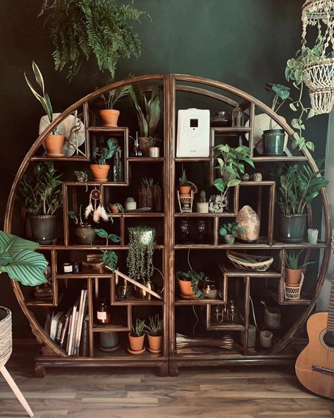 Plant shelf inspiration Cool Shelves, Home Improvement Loans, Bohemian Interior, Plant Shelves, Cool Plants, Bohemian Decor, Plant Decor, House Inspo, Home Is Where