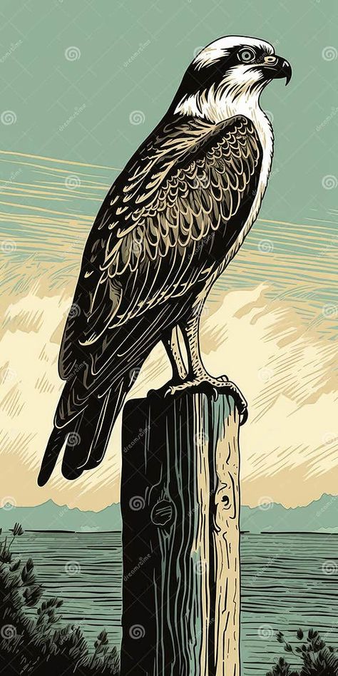 Osprey Linocut Standing on Post with Sea Background Stock Illustration - Illustration of bird, coastal: 276625821 Linocut Background, Sea Background Illustration, Animal Linocut, Linocut Inspiration, Feather With Birds Tattoo, Animal Texture, Woodcut Illustration, Wildlife Illustration, Sea Background