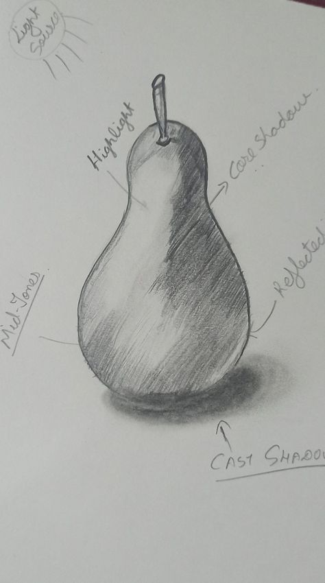 "Explore the artistry of pear sketching as we delve into the delicate interplay of light and shadow. In this captivating journey, we unveil the secrets of creating depth and dimension in your pear illustrations. Witness how the subtle dance of illumination and darkness breathes life into your artwork, giving your pears a realism that practically pops off the page. This is more than just sketching; it's an adventure into the realms of texture, form, and atmosphere. So pick up your pencils, and le Pear Sketch, Pear Drawing, White Drawing, Pen Sketch, Black And White Drawing, Summer Crafts, Light And Shadow, Abstract Art Painting, Creating Art