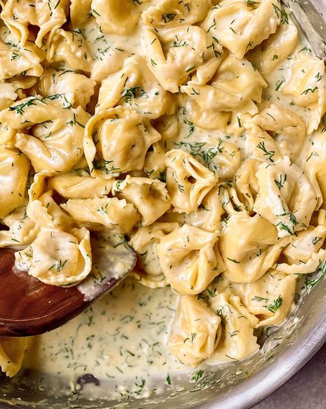 White Sauce Tortellini Recipes, Lemon Ravioli, Cheesy Tortellini, Tortellini Recipe, Lemon Dill Sauce, Tortellini Recipes, Lemon Dill, Dill Sauce, Pasta Dinners