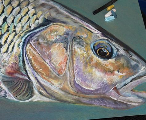 Chub Pastel Painting - follow me to see more #fishingart #fishing #fish #flyfishing #coarsefishing #freshwater #fishinglife #catchandrelease #spinning #softplastic #angler #hunting #fishingtrip #tightlines #fisherman #fishon #sportfishing #fishingislife #pesca #chub #sketch #painting #draw #instaart #creative #arte #pastels #decor Pike Art, Fishing Wall Art, Tarpon Fishing, Northern Pike, Fishing Art, Fishing Signs, Pike Fishing, Fishing Gift, Fish Wall Art