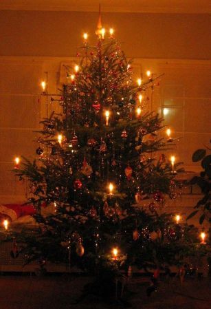 The Origins of Christmas | The Weird and The Odd Candles In Christmas Tree, Christmas Tree With Candles, Candles Christmas Tree, German Christmas Tree, Origin Of Christmas, Real Candles, Candles Burning, Tree Candles, Real Christmas