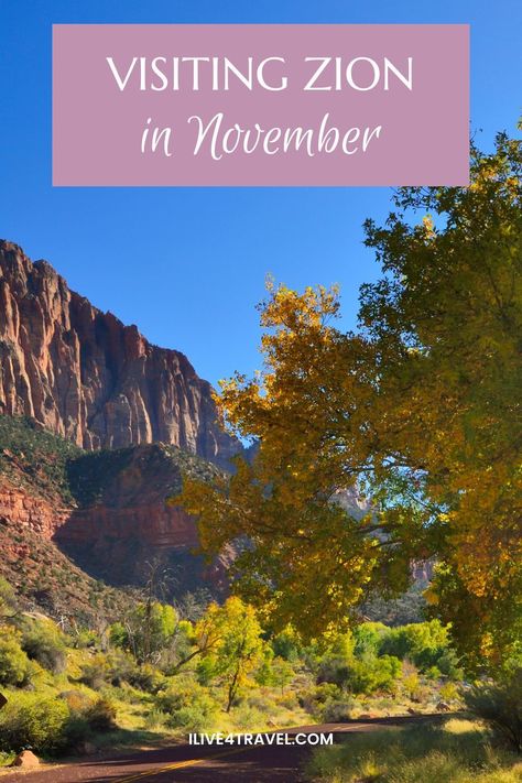 Are you considering the best time for visiting Zion National Park and thinking about visiting Zion National Park in November? This guide will give you everything you need to know about visiting Zion in November, including hiking zion in November, what to wear in zion in November, the weather in zion in November and things to do in zion national park in November. Zion National Park In November, Zion In November, State Parks Usa, Zion National Park Photography, Narrows Zion National Park, Hiking The Narrows, Utah Vacation, Riverside Walk, South America Destinations