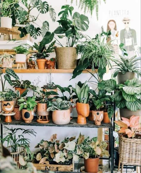 Green Apartment, Bloom Where Youre Planted, Front Rooms, Bathroom Inspiration Decor, House Plants Decor, Free Plants, Green Interiors, House Plants Indoor, Plant Mom