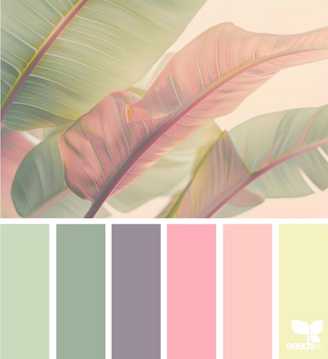 Design Seeds: Color Nature Color Pallets Green, Nature Color Pallete, Flamingo Color Palette, Green And Pink Combination, Inspiration Color Palettes, Bali Bedroom, Design Seeds Color Palette, Seeds Color Palette, Color Mixing Chart Acrylic