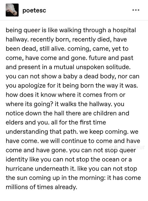 Queer History, History Literature, The Secret History, Writing Quotes, Writing Advice, Poem Quotes, Yet To Come, Lose My Mind, Poetry Quotes