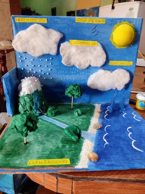 Water Cycle Model, Water Cycle Project, Carbon Cycle, Geography For Kids, Kid Science, Science Projects For Kids, Water Projects, Water Cycle, Middle School Science