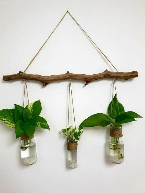 The transparency of the glass allows for unique plant arrangements and decorative elements like stones, moss, or sand, adding a modern touch. Tanaman Air, Wall Hanging Decorations, Plants Hanging, Indoor Plant Wall, نباتات منزلية, Hanging Plant Wall, Plants Wall, Hanging Plants Indoor, Deco Nature