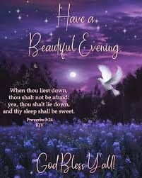 Have A Beautiful Evening, Birthday Wishes For A Friend Messages, Evening Blessings, Goodnight Quotes Inspirational, Good Night All, Good Evening Messages, Good Night Prayer Quotes, Good Evening Wishes, Evening Quotes