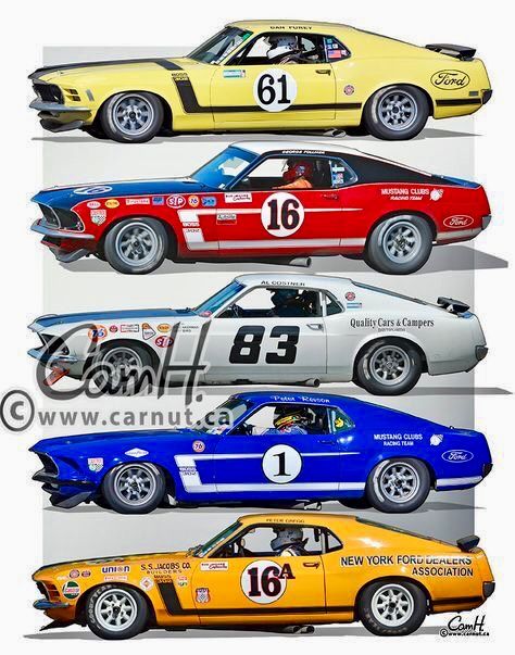 Mustang Race Car, Boss 302 Mustang, Sp2 Vw, Boss Mustang, Mustang Boss 302, Ford Mustang Cobra, 1970 Ford Mustang, Ford Mustang Boss, Mustang Boss