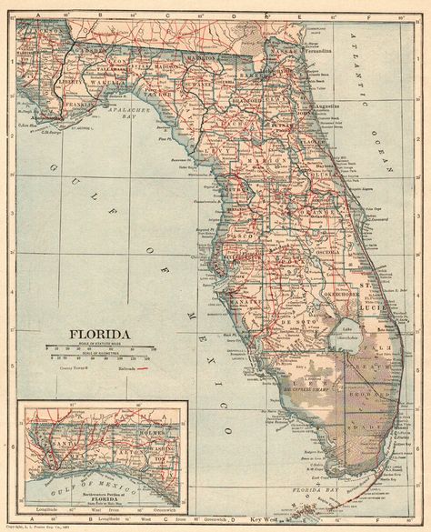 Florida State Map, Florida Print, Florida History, Florida Map, Graduating Teacher, Atlas Map, Map Vintage, Map Of Florida, United States Map