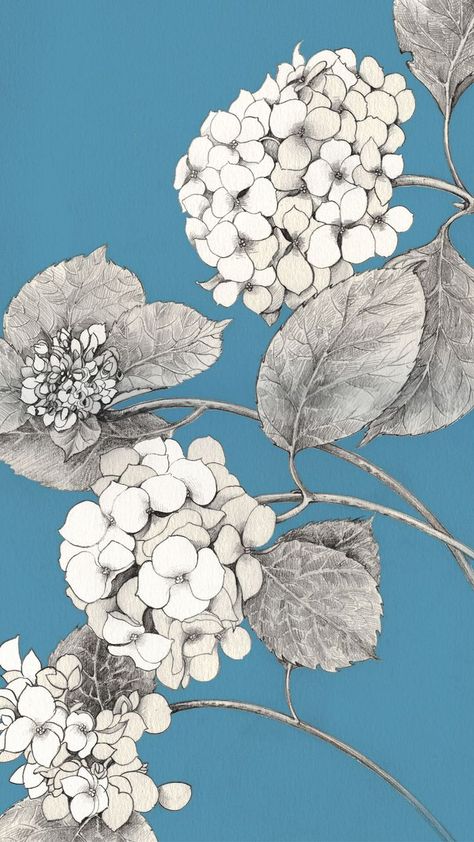 https://www.shutterstock.com/g/ala+saik Painting Hydrangeas, Fleurs Art Nouveau, Hydrangea Painting, L Wallpaper, Girly Wallpapers, Botanical Drawings, Plant Illustration, Flower Art Painting, Arte Floral