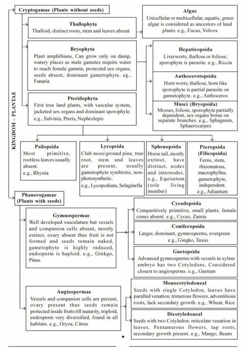 ASPIRANTS Biochemistry Notes, Neet Notes, Biology Plants, Learn Biology, Plant Kingdom, Kingdom Plantae, Medicine Notes, Study Biology, Interesting Science Facts