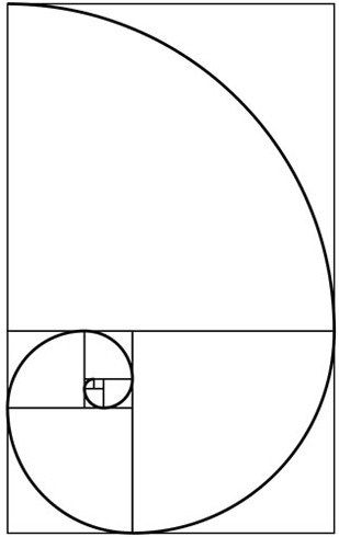 The Circle Forms the Basis of all Sacred Geometry. But, the term, sacred geometry implies that even if it is only circles we are looking at, there is more going on than just circles…  The vast majority of sacred art, sacred music, sacred architecture, sacred geometry and indeed all of life itself contains within it the mathematical ratio or progression known as Phi, the golden ratio. We perceive this as beauty and experience it as love. It is the spiral of the growth and unfolding of life. Golden Experience, Circle Of Life Art, Golden Section, Fibonacci Art, Architectural Orders, Fibonacci Sequence, Tattoo Cover, Fibonacci Spiral, Golden Ratio