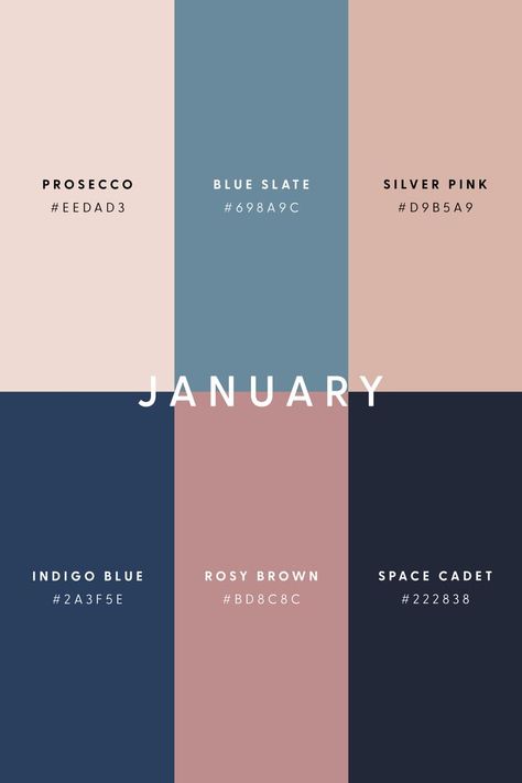 Ringing in the first month of the 2023 with a pastel derived palette. The new year brings, celebration and a fresh start! I included warmer tones to compliment the cool wintery tones bringing a sense of optimism. The colours were inspired by a mountain sunrise—seeing the cool blues of the landscape contrasted against the wispy pink clouds of the sky. Wishing you all a happy new year! (Spring is just around the corner… sort of) Motion Graphics Video, January Colors, Mountain Sunrise, Color Design Inspiration, Hex Color Palette, Color Schemes Colour Palettes, Brand Color Palette, A Happy New Year, Color Palate