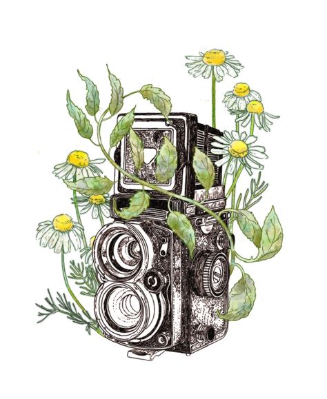 Camera Illustration Art, Vintage Camera Drawing, Vintage Cameras Drawing, Vintage Camera Tattoos, Camera Tattoos, Camera Illustration, Camera Drawing, Fantasy Drawings, Phone Theme