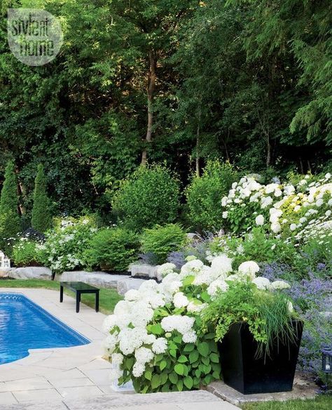 Gardens Backyard, Hampton Garden, Flowers And Greenery, Backyard Garden Design, White Gardens, Plants And Flowers, Garden Pool, Landscaping With Rocks, Gorgeous Gardens