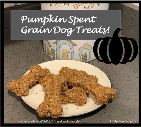 Spent Grain Dog Treats, Baby Treats, Homemade Pet Treats, Spent Grain, Pumpkin Treats, Dog Treats Grain Free, Grain Recipes, Healthy Dog Treats Homemade, Pumpkin Dog Treats