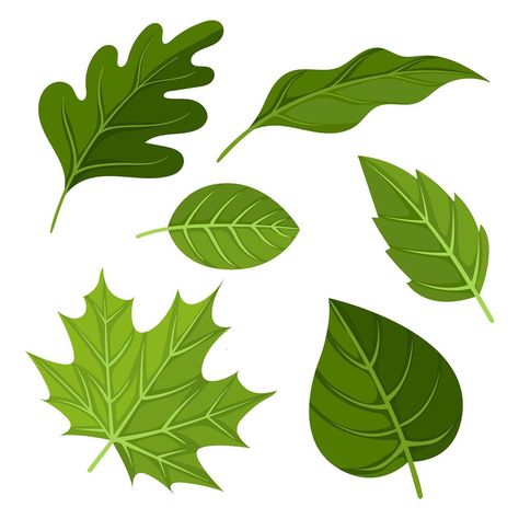 Green Leaves Clipart Set Vector Tree Leaves Drawing, Green Leaves Drawing, Cartoon Leaves, Leaves Cartoon, Leaf Cartoon, Flat Tree, Cartoon Leaf, Leaves Printable, Leaves Clipart