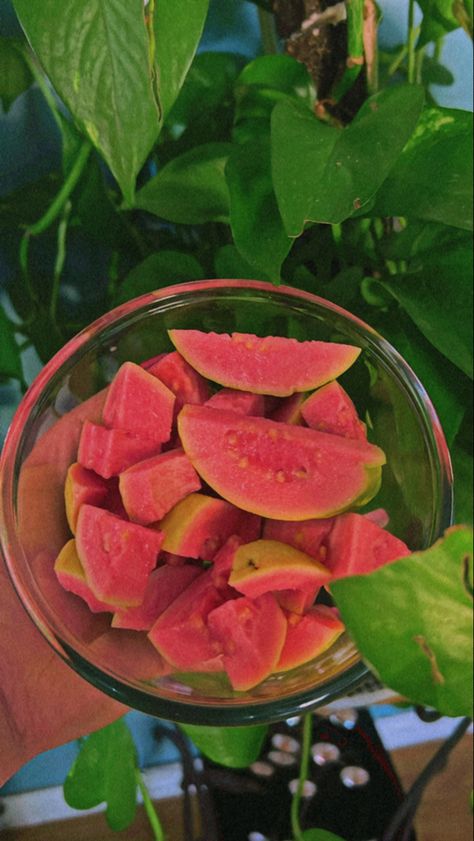 Guava Fruit Aesthetic, Pineapple Guava, Strawberry Guava, Guava Fruit, Oc Board, Food Snapchat, Hen, Drawing Ideas, Watermelon