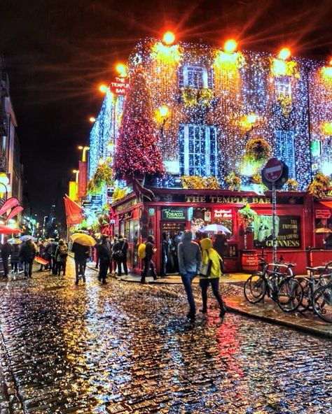 E-Dublin on Instagram: “⁠ The Temple Bar prontinho para o Natal 🎄⁠ Quem vai passar o primeiro Natal na Irlanda? 🙋🏻‍♂️⁠ .⁠ .⁠ 📍  The Temple Bar, Dublin⁠ . 📷 by…” Temple Bar Dublin, Dublin Street, Irish Beer, Temple Bar, Visit Ireland, Dublin City, Dublin Ireland, Ireland Travel, The Temple