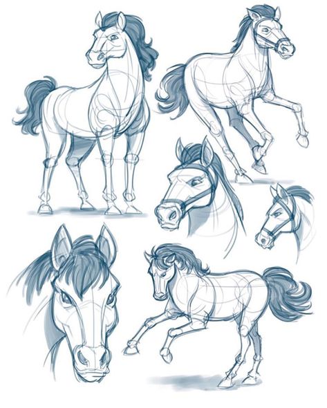 Horse Sketch Art, Practice Illustration, Horse Drawing Tutorial, Horse Cartoon, Horse Sketch, Horse Inspiration, Animal Drawings Sketches, Horse Illustration, Drawing Sketching